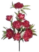 Peony